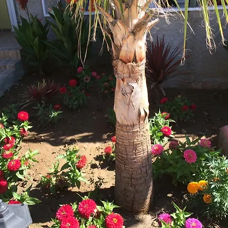 Esmeralda Apart Butik Apartmanhotel *